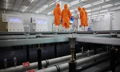 Phát hiện 1 ngành học hot hơn cả bác sĩ, luật sư ở Hàn Quốc - từ điểm B+ lên thẳng A+, có liên quan đến Samsung, SK Hynix