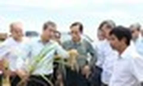 Gặp Bộ trưởng Việt Nam, Bí thư Tỉnh ủy Cuba “ngỏ lời” về lĩnh vực DN Việt lập kỳ tích 9 tấn/ha ở nước bạn