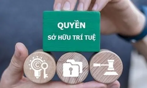Kết luận của Bộ Chính trị về đẩy mạnh công tác sở hữu trí tuệ phục vụ phát triển kinh tế - xã hội trong tình hình mới