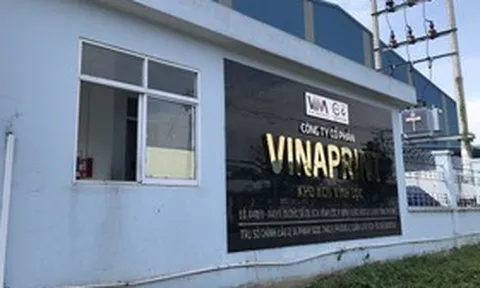 Kiêm nhiệm lãnh đạo quá nhiều công ty, 2 cá nhân bị xử phạt