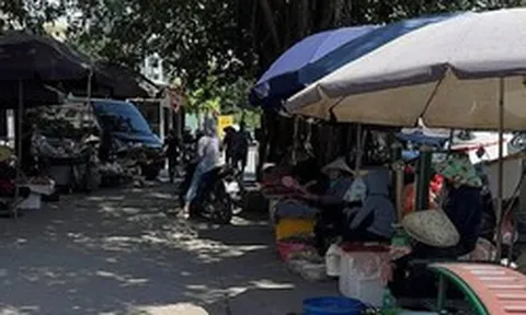 Vi phạm trật tự đô thị “di cư” vào ngõ ngách