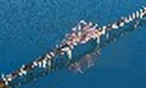 Tỷ phú Phạm Nhật Vượng đang cho xây siêu công trình hầm - cầu vượt biển đầu tiên và lớn nhất Việt Nam, thiết kế ấn tượng với 2 cửa hầm tạo hình đóa sen khổng lồ giữa đại dương