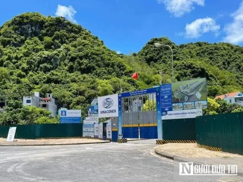 Ông chủ Cát Bà Amatina đặt mục tiêu thoát lỗ trong năm 2022