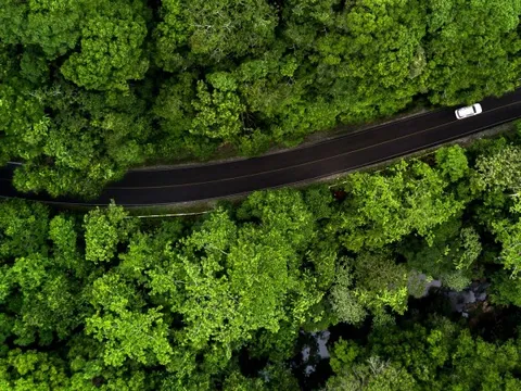 Hyundai Motor Group mở rộng sử dụng năng lượng tái tạo