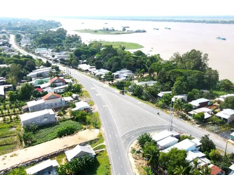 Đồng Tháp đầu tư 70 tỷ đồng cho cây xanh đô thị