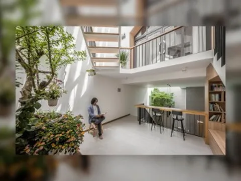 Ngôi nhà trong hẻm tràn ngập ánh sáng tự nhiên nhờ giải pháp “lệch”