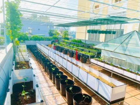 Vườn sân thượng xả stress của nữ giám đốc