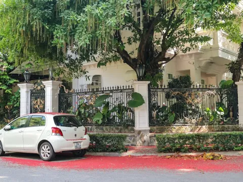 Mùa hoa lộc vừng nở rộ tại khu đô thị Ciputra Hanoi