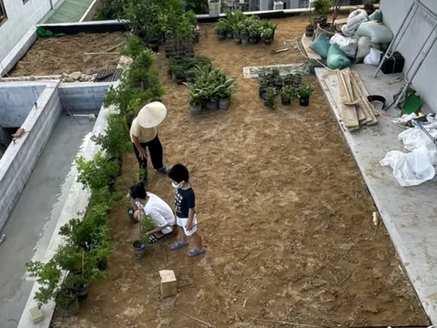 Khu vườn khiến gia chủ 'thích ở nhà hơn đi du lịch'