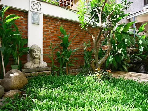 Bí quyết tự làm sân vườn đẹp