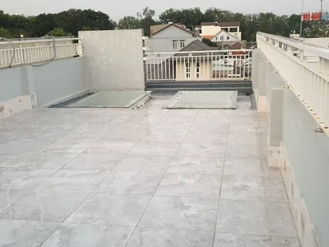 Thầy giáo vác 100 bao đất lên sân thượng làm vườn