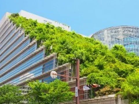 Kiến tạo môi trường sống xanh cần sự nỗ lực của tất cả các bên liên quan