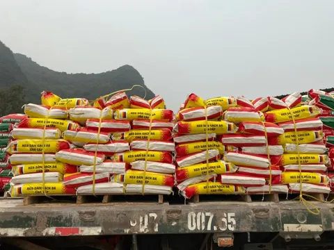 SOLITI Việt Nam - Niềm tin của mọi công trình