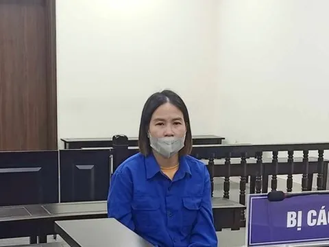 Tham lãi cao, 12 người mất tiền tỷ vào tay 'nữ quái'