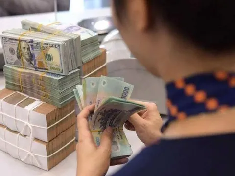 Tỷ giá tăng trở lại dù NHNN hút về lượng lớn tiền VND qua tín phiếu