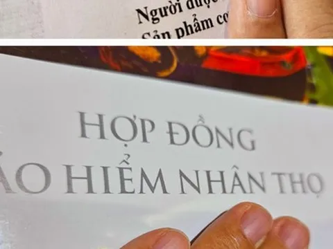 Đề nghị kiểm toán chuyên đề về bảo hiểm nhân thọ