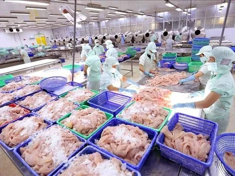 Dư địa từ thị trường Trung Quốc vẫn rộng mở với doanh nghiệp thủy sản Việt