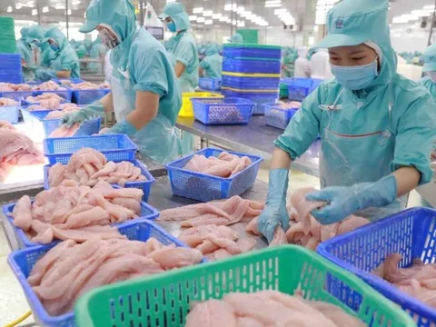 Xuất khẩu cá tra nhìn thấy cơ hội từ mùa lễ hội cuối năm