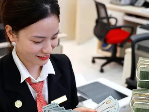 Tỷ giá lập đỉnh, Ngân hàng Nhà nước sẽ can thiệp?