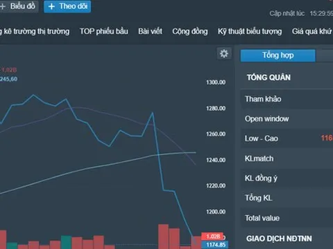 Điểm danh những cổ phiếu đi ngược dòng khi chứng khoán rớt hơn 100 điểm