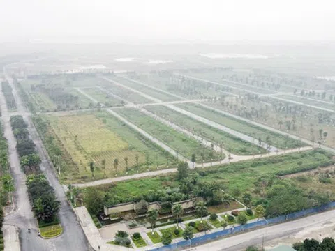 HoREA đề nghị phân biệt rõ giữa đấu thầu và đấu giá sử dụng đất