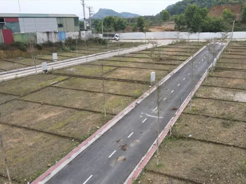 Sắp tới 105 thành phố, thị xã không được phân lô bán nền, chuyên gia lý giải để hiểu sao cho đúng về quy định này
