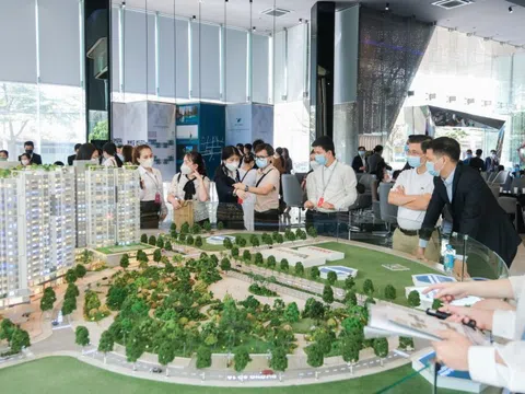 Thị trường ấm lên, shophouse hút khách trở lại?