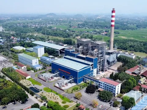 Thái Nguyên hướng đến chuyển đổi xanh