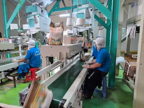 Xuất khẩu gạo không suôn sẻ