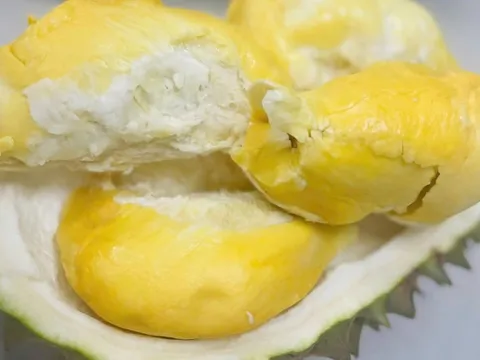 Lão nông miền Tây trồng được giống sầu riêng lạ, bán 700.000 đồng/kg