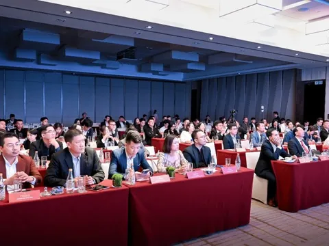 Giải mã đầu tư – đón vận hội mới 2026