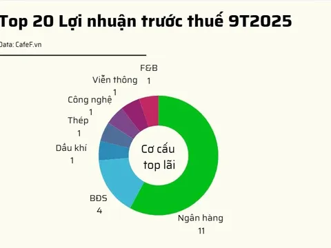 20 DN niêm yết có lợi nhuận trước thuế lớn nhất năm 2025: VinHomes vượt qua loạt ngân hàng giữ vị trí đầu bảng, 2 doanh nghiệp BĐS tăng trên 1.000%