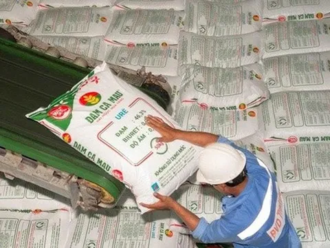 Đạm Cà Mau chốt ngày tham dự ĐHĐCĐ thường niên năm 2026