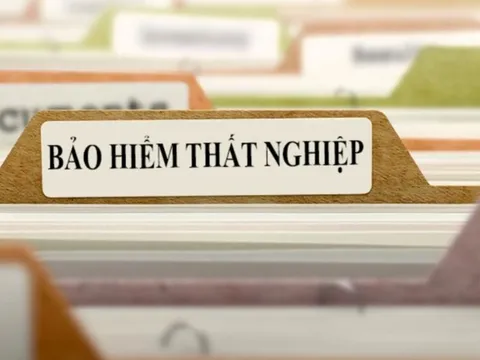 Bảo hiểm thất nghiệp có 10 thủ tục mới, người lao động làm sai là… CHẬM TIỀN