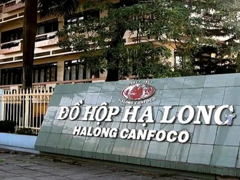 Đồ hộp Hạ Long báo lỗ quý 4/2025 kỷ lục 9,5 tỷ đồng trong hơn 2 thập kỷ sau lùm xùm thịt heo bệnh