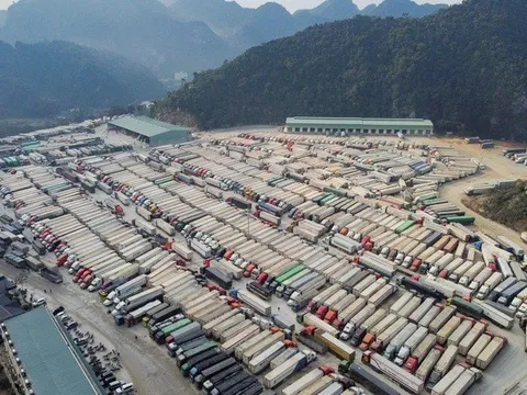 Tạm dừng áp dụng Nghị định 46, Cục Hải quan hoả tốc yêu cầu thông quan nhanh hàng hoá