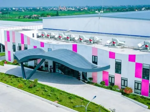 Lãnh đạo May Sông Hồng không mua hết 1,2 triệu cổ phiếu MSH như đăng ký