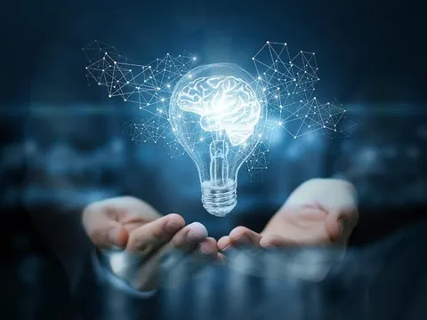 Triển khai thi hành Luật sửa đổi, bổ sung một số điều của Luật Sở hữu trí tuệ