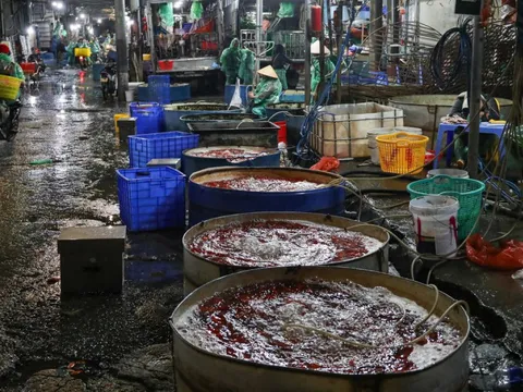 Giá cá chép tiễn ông Công ông Táo giảm, chợ lớn nhất Hà Nội vẫn vắng khách mua