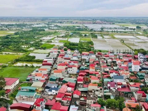 Đất đấu giá xã ngoại thành Hà Nội trúng cao nhất hơn 164 triệu đồng/m2