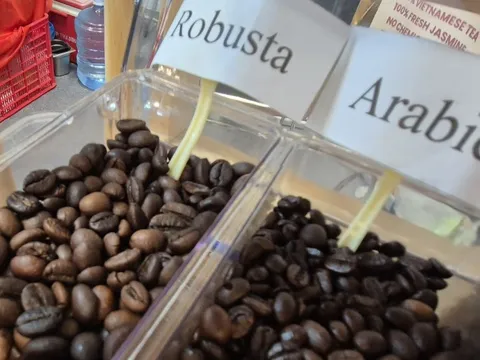 Giá cà phê hôm nay 12-2: Phục hồi