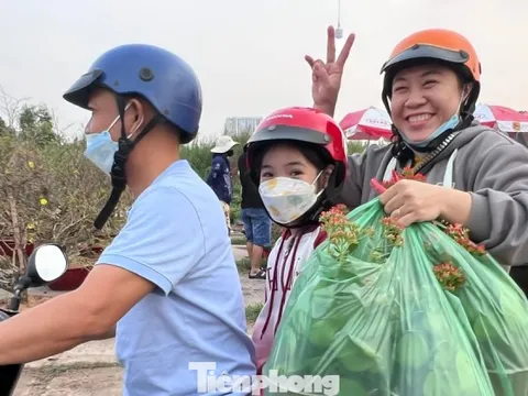 Giá rẻ khó tin: Hoa Tết chỉ 20.000 đồng/chậu ở TPHCM