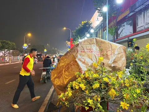 Chuyện thuê mai ngày Tết và những vui buồn ít ai thấu hiểu