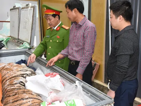 Bắt tạm giam, kiểm tra nơi ở của Hoàng Đình Đạt