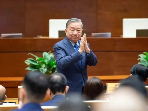 Các Ủy viên Bộ Chính trị, Ban Bí thư và nơi ứng cử đại biểu Quốc hội khóa mới