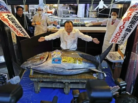 3 phiên đấu giá cao kỷ lục, gây 'bão' đầu năm 2026