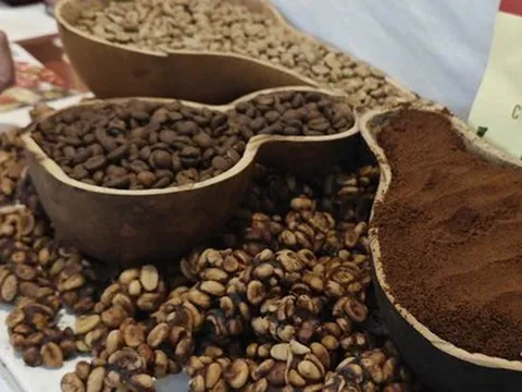 Giá cà phê hôm nay 21-2: Chốt tuần giảm, sắp chạm sàn