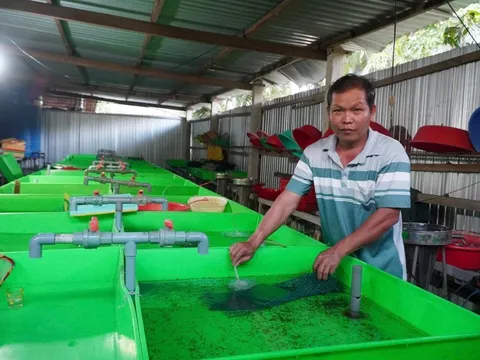 Thầy giáo dạy Sinh thu 2 tỷ đồng/năm từ bầy "quái vật" không vảy trong bóng tối