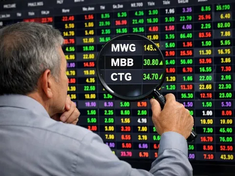 Soi top danh mục các "cá mập" nghìn tỷ: MWG cùng 2 cổ phiếu ngân hàng chiếm sóng