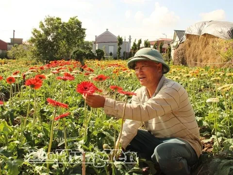 Anh nông dân lãi 1,2 tỷ đồng từ loài hoa hễ hé nụ là có người tới "cướp"